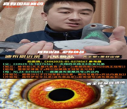 《迪布恩近亲》天王星x墨菲定律