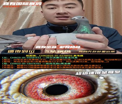 《所向无敌多重近亲》超级速度金母型