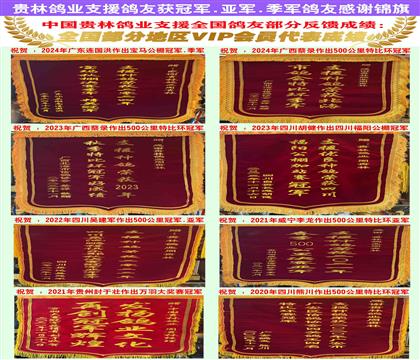 贵林鸽业荣誉锦旗