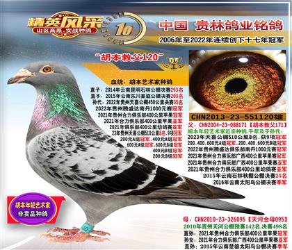 父:胡本教父做出冠亚军