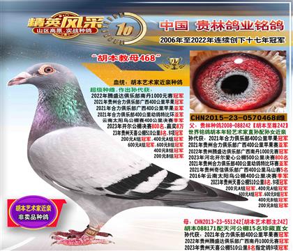 母:胡本教母做出冠亚军多余