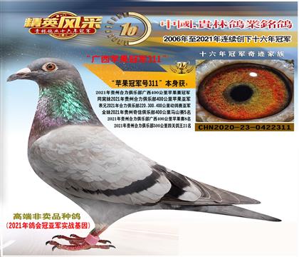 平辈:400公里冠军