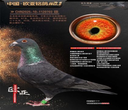 乔斯桑杰士黑色快车797X539