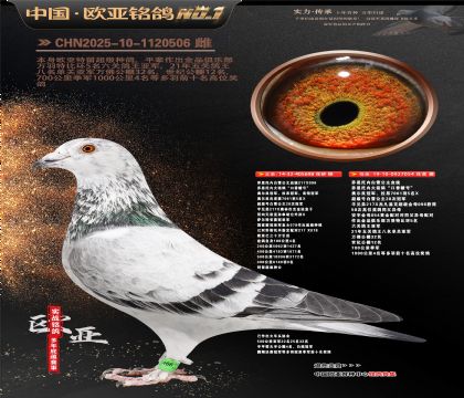 乔斯托内白雪公主698X054