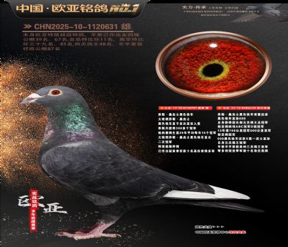 乔斯桑杰士黑色快车797X539