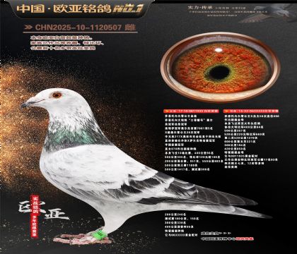 乔思托内白雪公主原舍935X333