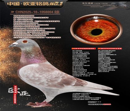 迪克.凡登布克血统基特尔295X基特尔直孙394