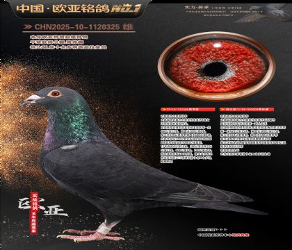 乔斯桑杰士黑色快车688X008