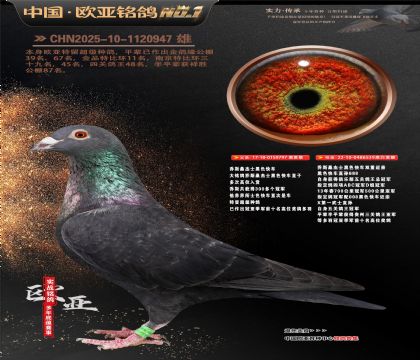 乔斯桑杰士黑色快车797X539