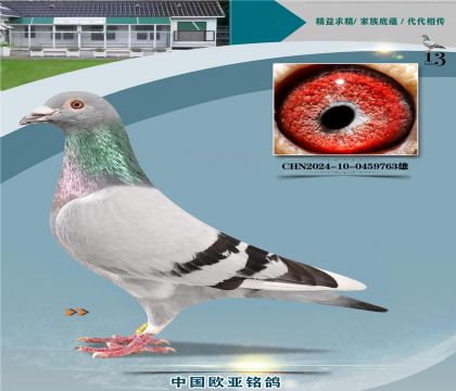 桑杰士原舍042X035