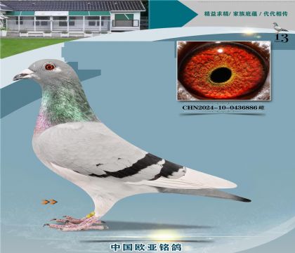 桑杰士近亲591X892电脑831直女