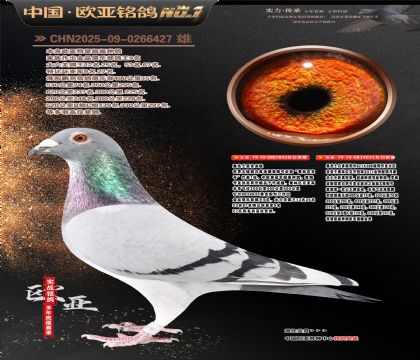 桑杰士原舍042X035