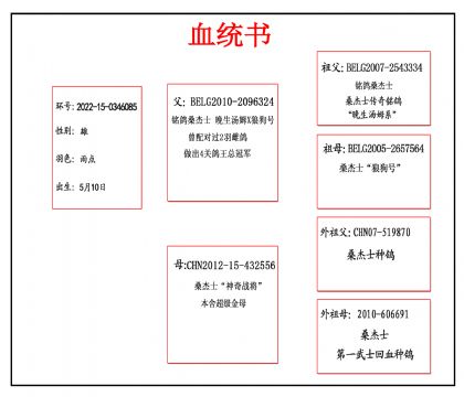 2022-15-0346085血_副本