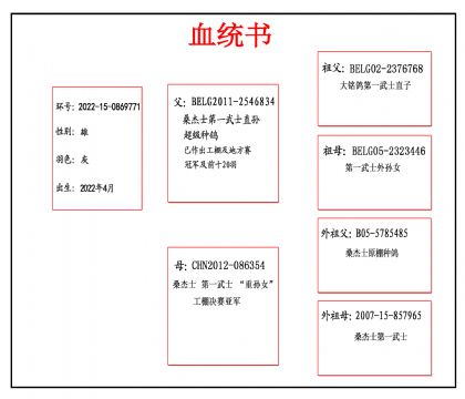 2022-15-0869771血_副本