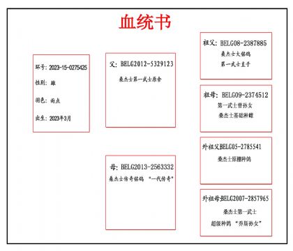 2023-15-0275425血副本