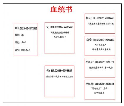 2023-15-1072362血副本