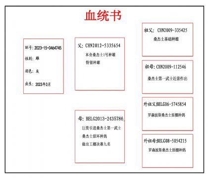 2023-15-0464745血副本