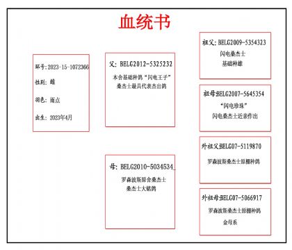 2023-15-1072366血副本