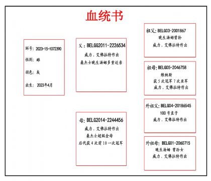 2023-15-10723901血副本