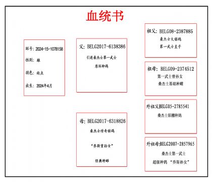 2024-15-1078158血_副本