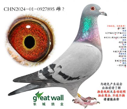 1.耶勒玛x图尔斯.0927895