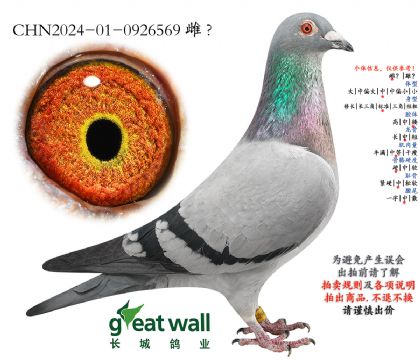 2.博尔特x吉诺.0926569