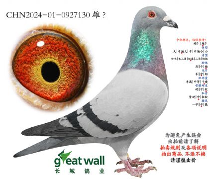 4.保时捷近血.0927130