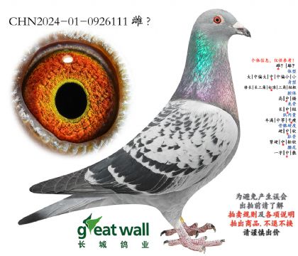 5.利奥血系.0926111