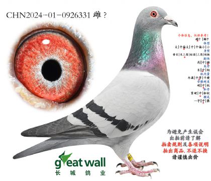 3.图尔斯x奶酪.0926331