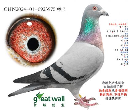 8.法拉利王子子代.0923975