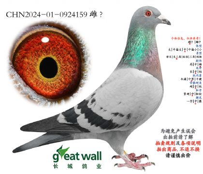 7.新长城一号孙代.0924159