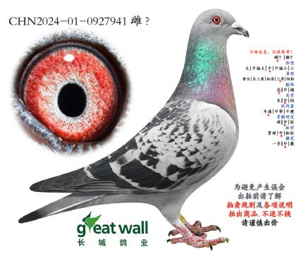 9.鲁迪x新金姆.0927941