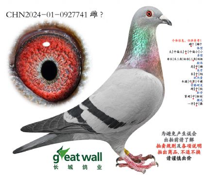 12.洁特雌孙代.0927741