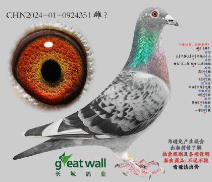 14.阳光大棚决赛20名子代.0924351