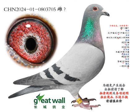 21.无限可能孙代.0803705