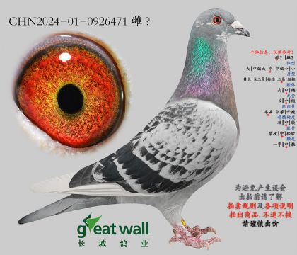 23.最佳基特尔近血孙代.0926471