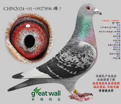 1.耶勒玛x图尔斯.0927896