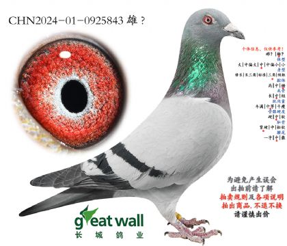 3.奶酪x零缺陷.0925843