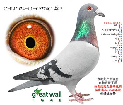 5.奶酪本德尔孙代.0927401