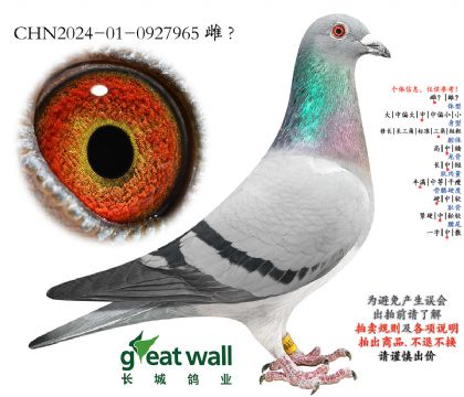 7.亚精顿号子代.0927965