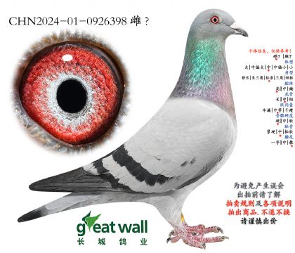 10.阿玛利娅近血.0926398