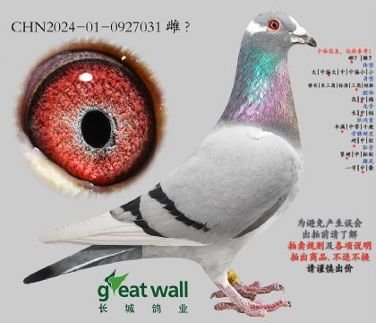 8.新克拉克近血.0927031