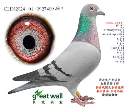 12.图尔斯x克拉克.0927409