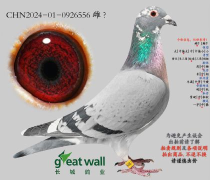 16.博尔特x维纳斯.0926556