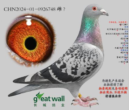 18.新长城一号孙代.0926748