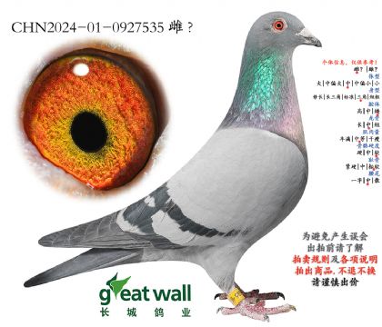 19.图尔斯003孙代.0927535