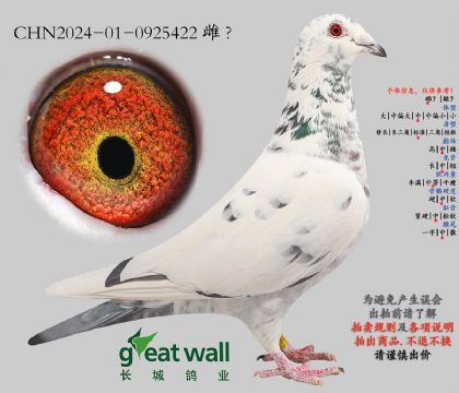 21.灰梦x图尔斯.0925422