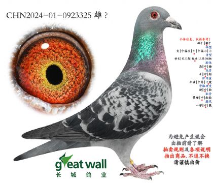 24.超级克拉克回血.0923325