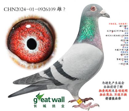 22.保时捷911近血孙代.0926109