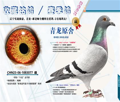 <开尔73名全平辈>哈利-新海盗号